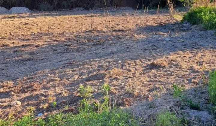 Działka budowlana Ciechów Buczki, ul. Dębowa