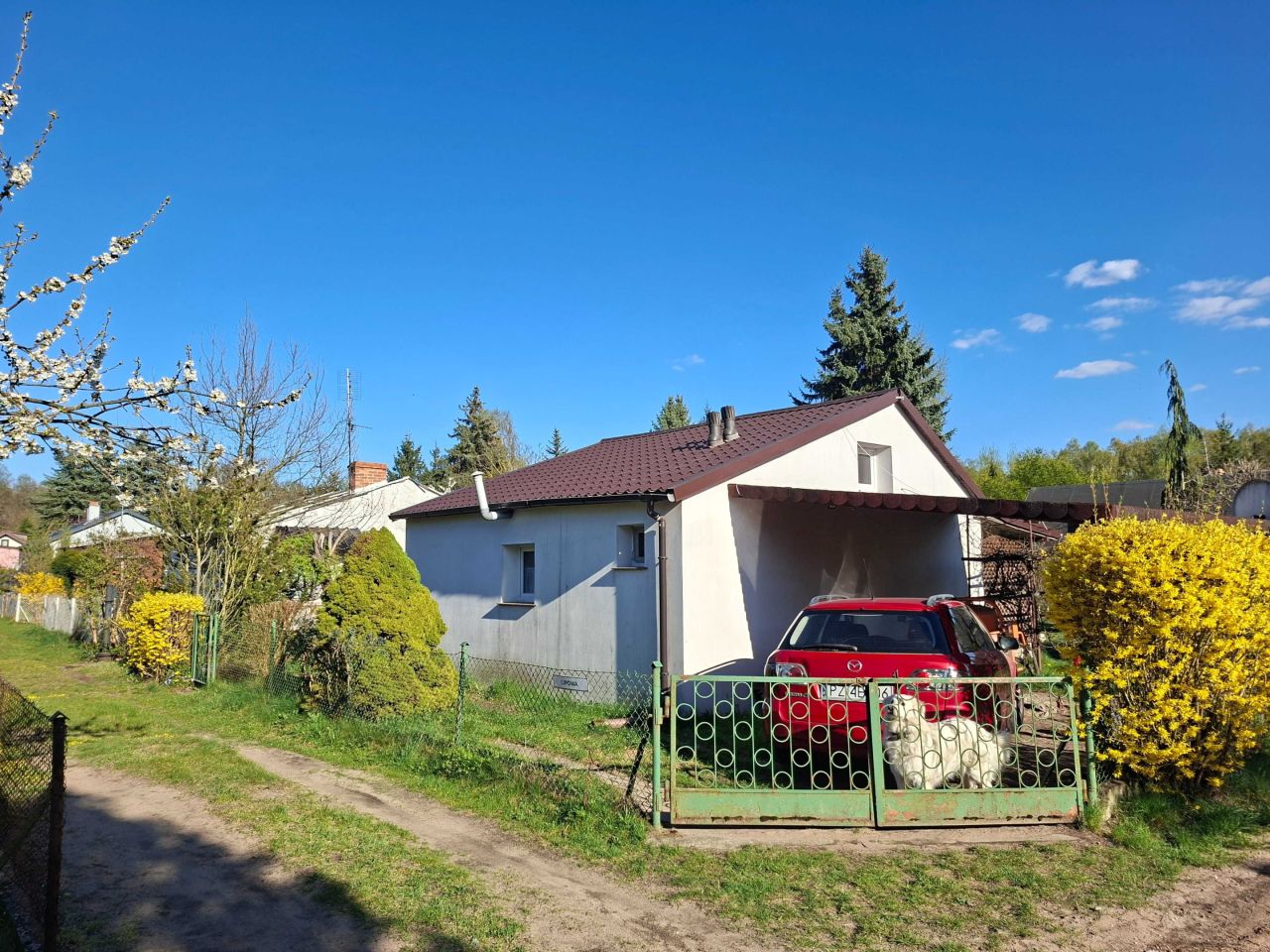 Działka rod Pokrzywnica. Zdjęcie 8