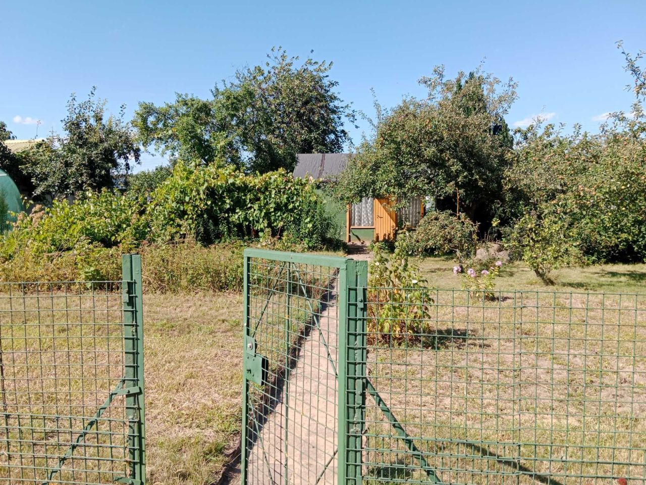 Działka rod Lipnik. Zdjęcie 2