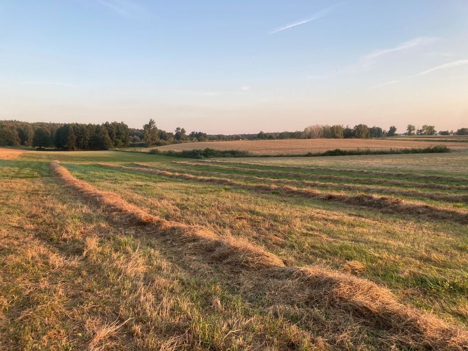 Działka budowlana Komratowo. Zdjęcie 4