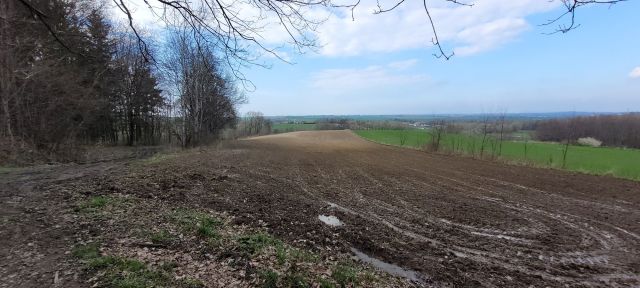 Działka rolna Witoszów Górny. Zdjęcie 1