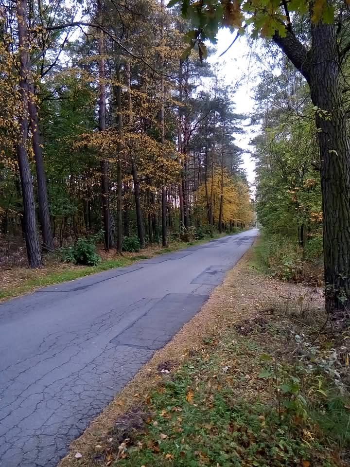 Działka rekreacyjna Adamówek, ul. Pańska. Zdjęcie 24