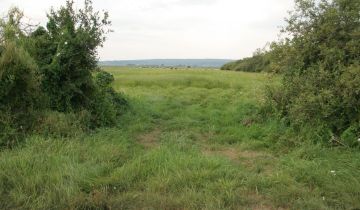 Działka rolna Strzelce