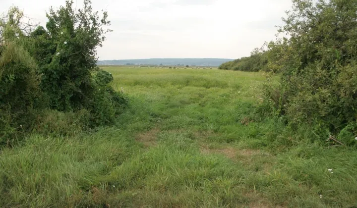 Działka rolna Strzelce