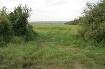 Działka rolna Strzelce