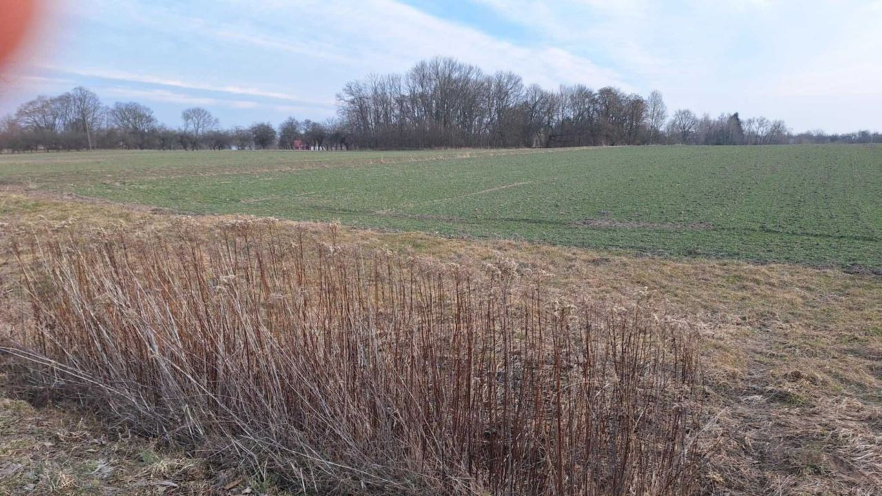 Działka rolno-budowlana Tursko Wielkie. Zdjęcie 4