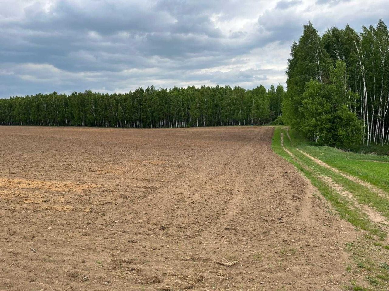 Działka rolna Puszcza Miejska. Zdjęcie 8