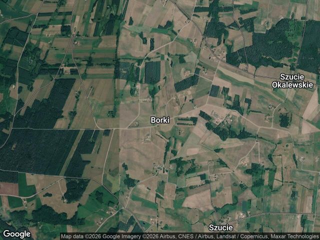 Działka rolna Borki. Zdjęcie 1
