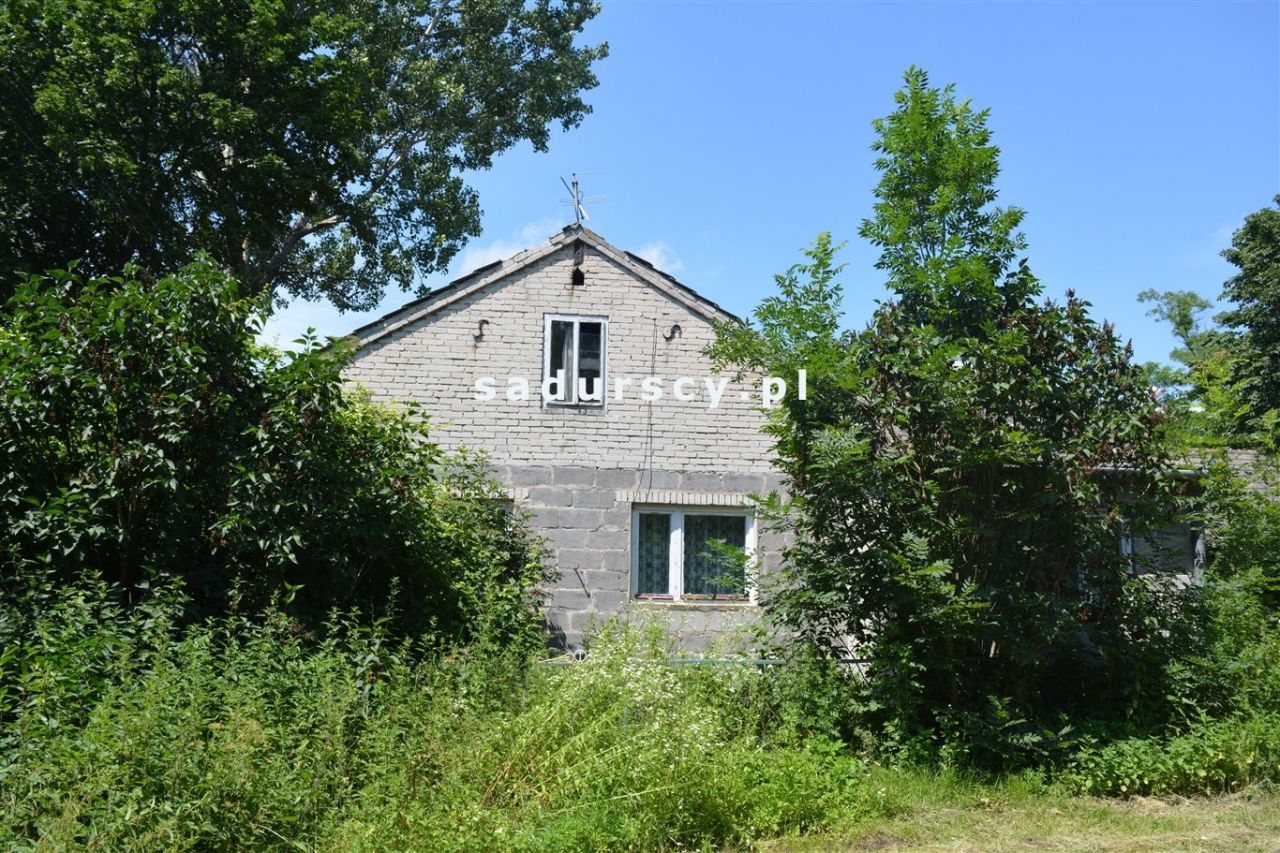 Działka siedliskowa Kościejów. Zdjęcie 1