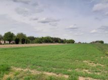 Działka rolno-budowlana Miłkowice. Zdjęcie 1