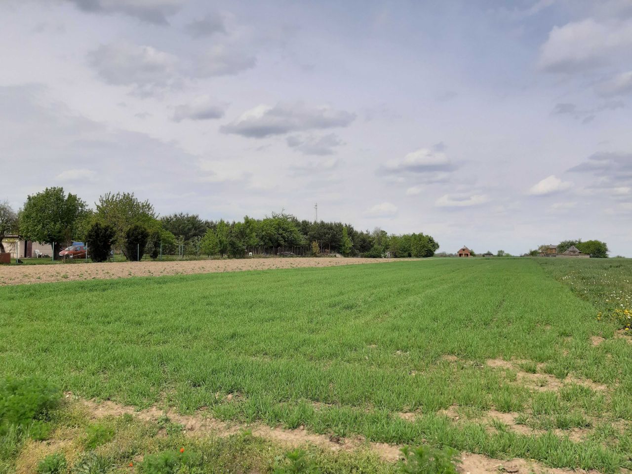 Działka rolno-budowlana Miłkowice. Zdjęcie 2