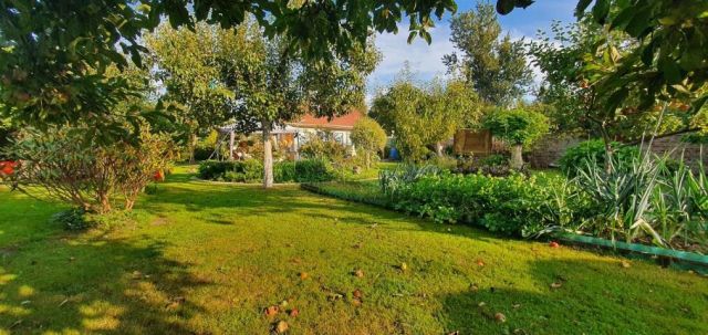 Działka rekreacyjna Zieleniewo, ul. Szczecińska. Zdjęcie 5