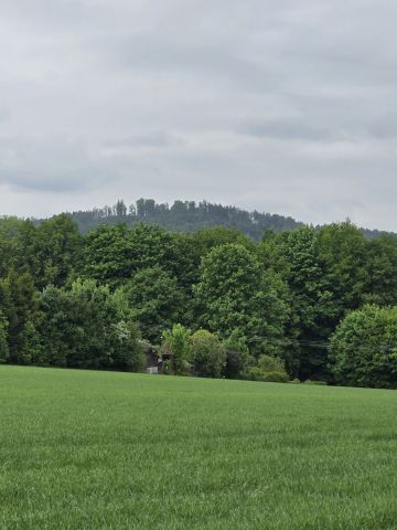 Działka rekreacyjna Głuchołazy. Zdjęcie 1