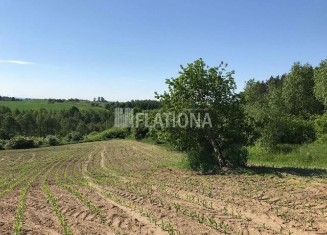 Działka rolna Wałdowo. Zdjęcie 8