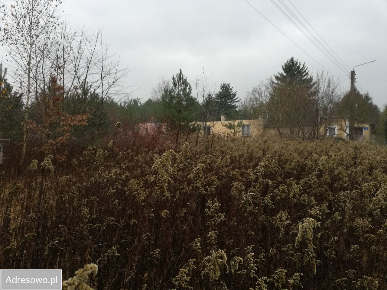 gospodarstwo Wymysły, ul. Aroniowa. Zdjęcie 4