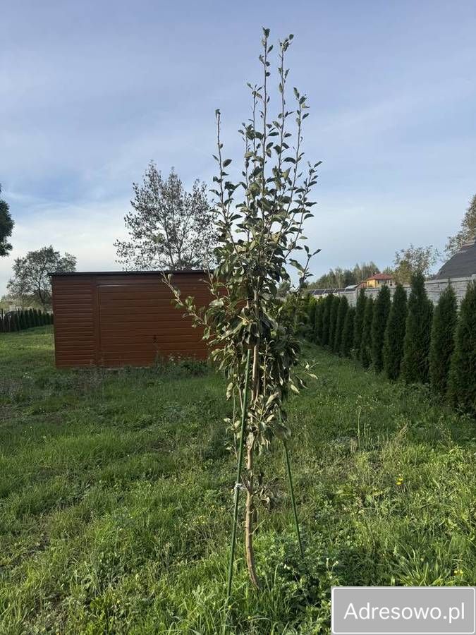 Działka budowlana Nowa Jedlanka. Zdjęcie 3