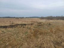 Działka rolna Malechowo. Zdjęcie 1