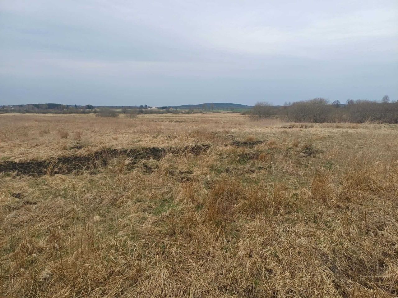 Działka rolna Malechowo. Zdjęcie 2