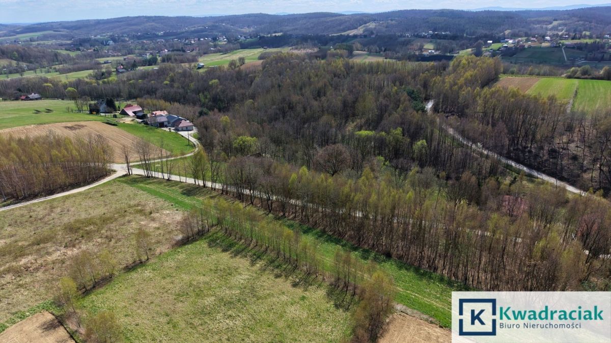 Działka rolna Lublica. Zdjęcie 4