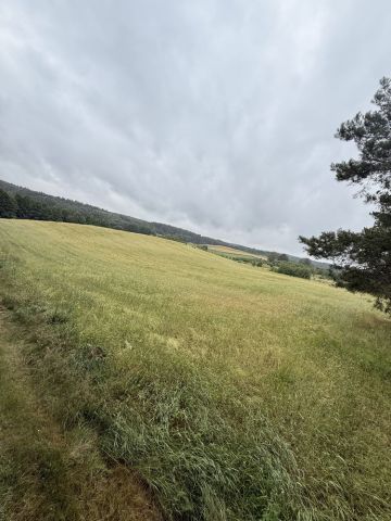 Działka budowlana Piechowice. Zdjęcie 1