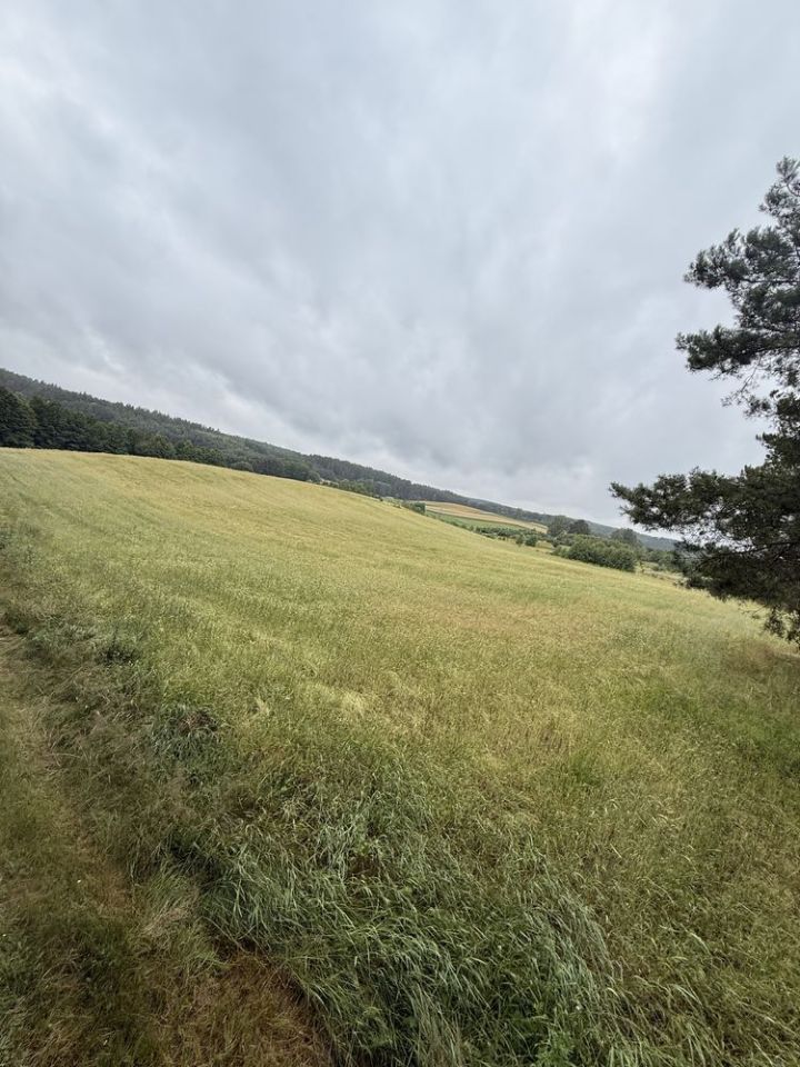 Działka budowlana Piechowice. Zdjęcie 1