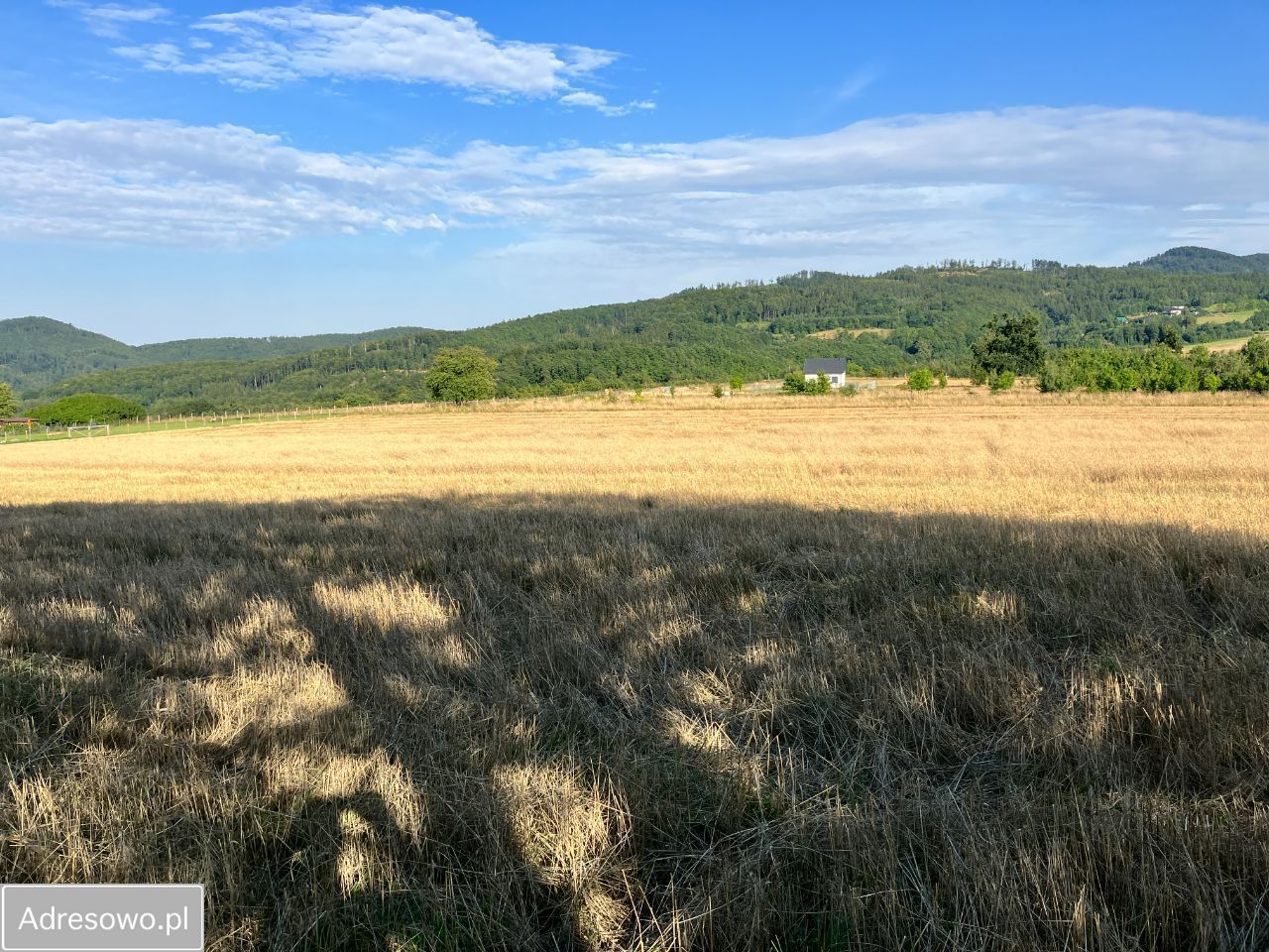 Działka budowlana Dębowina. Zdjęcie 3