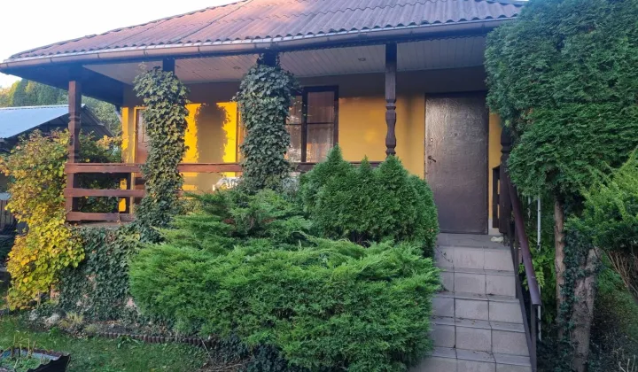 Działka rekreacyjna Golub-Dobrzyń