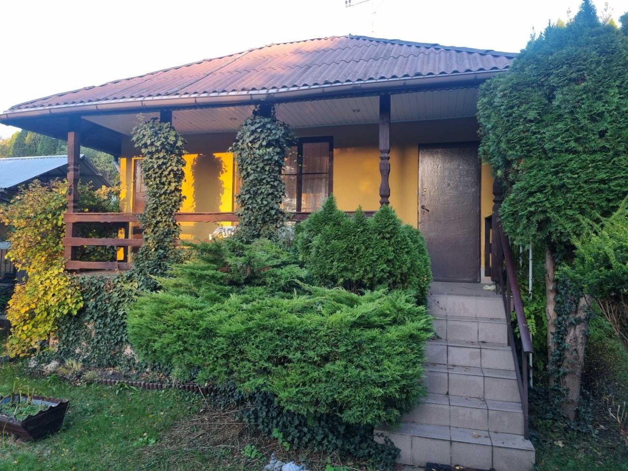 Działka rod Golub-Dobrzyń