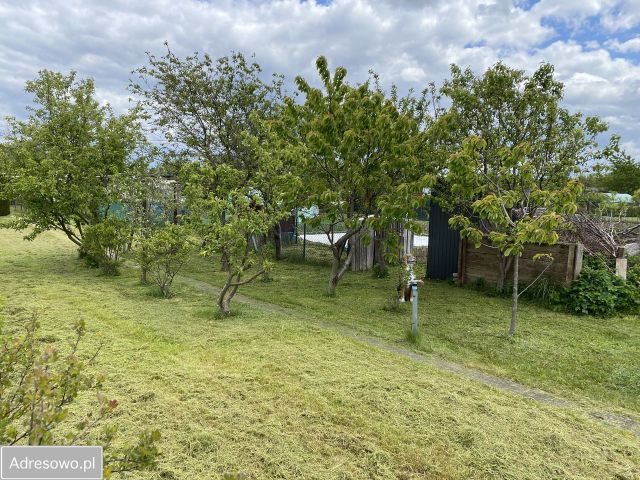 Działka rod Koczała. Zdjęcie 1