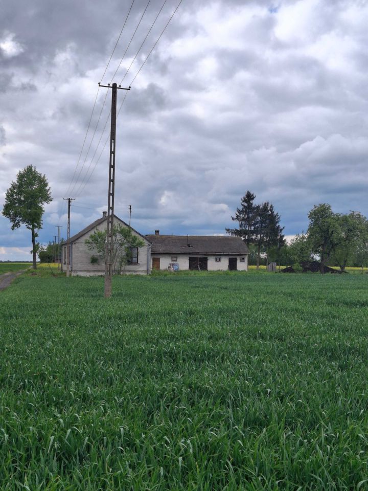 dom wolnostojący Stary Rzechów. Zdjęcie 5