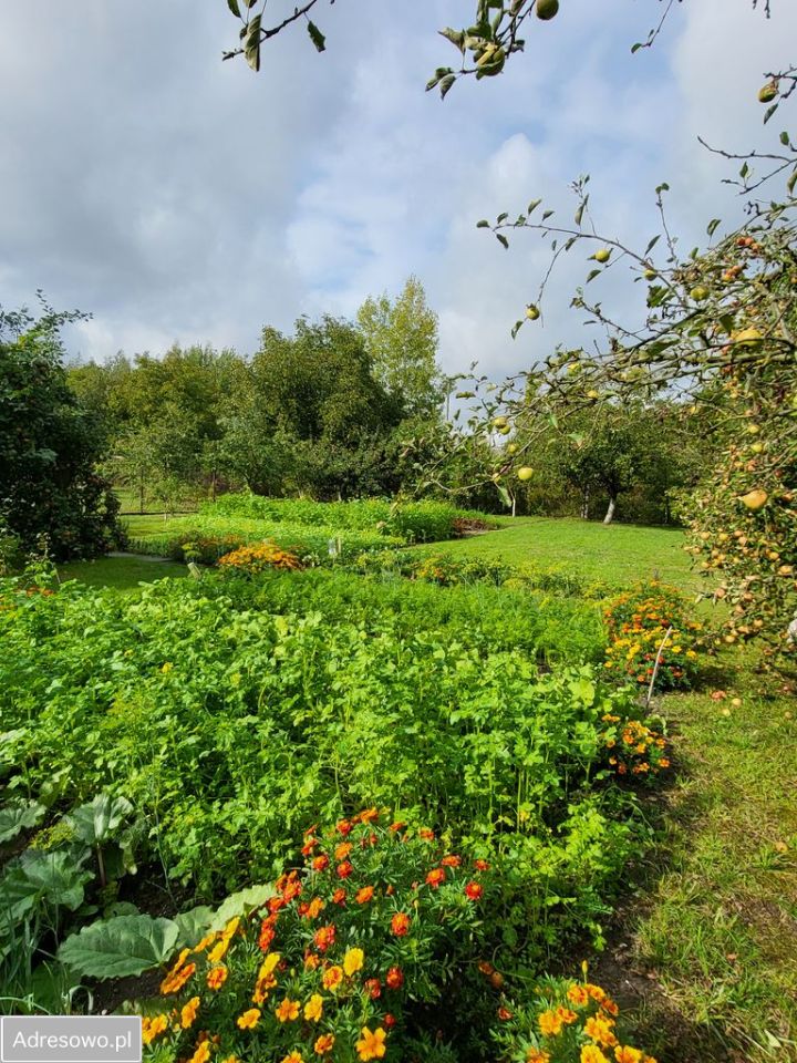 dom wolnostojący, 6 pokoi Kluczbork. Zdjęcie 19