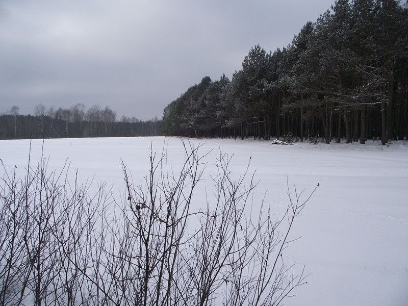 Działka rolna Kąty-Miąski. Zdjęcie 2