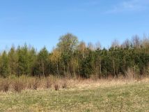 Działka budowlana Lauda. Zdjęcie 3