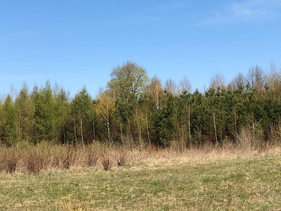 Działka budowlana Lauda. Zdjęcie 4