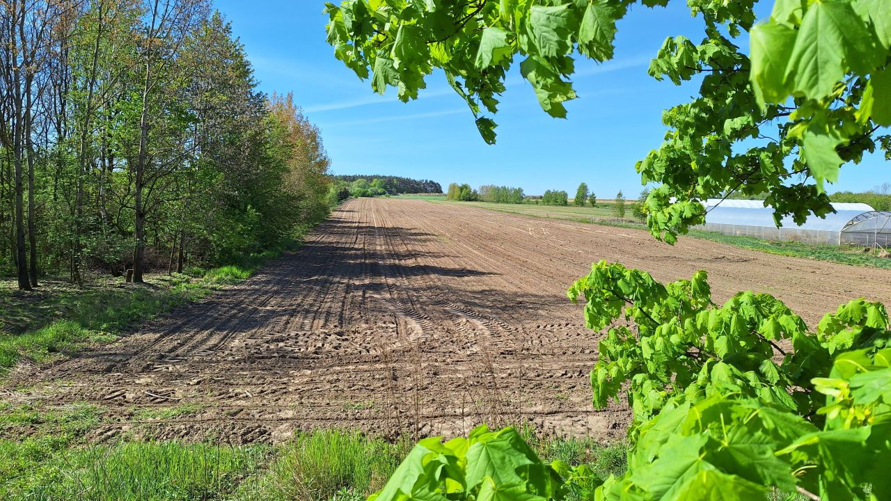 Działka rolna Paplinek