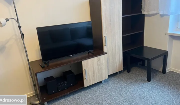 Mieszkanie 1-pokojowe Bielsko-Biała Śródmieście