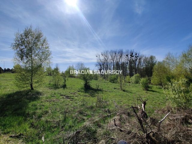 Działka rekreacyjna Łukta. Zdjęcie 13