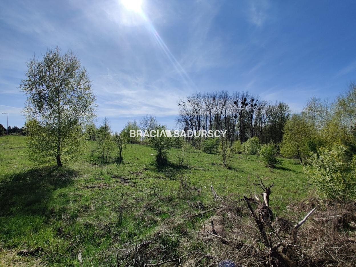 Działka rekreacyjna Łukta. Zdjęcie 13