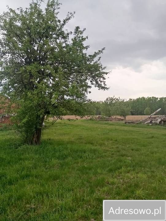 Działka siedliskowa Orzechów-Kolonia. Zdjęcie 7