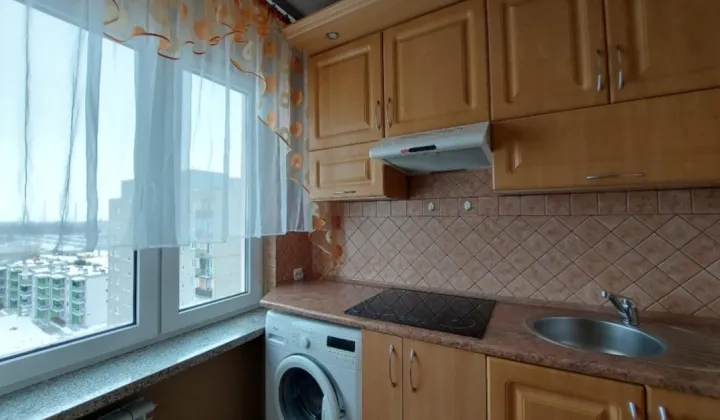 Mieszkanie 1-pokojowe Zamość Nowe Miasto, ul. Lwowska