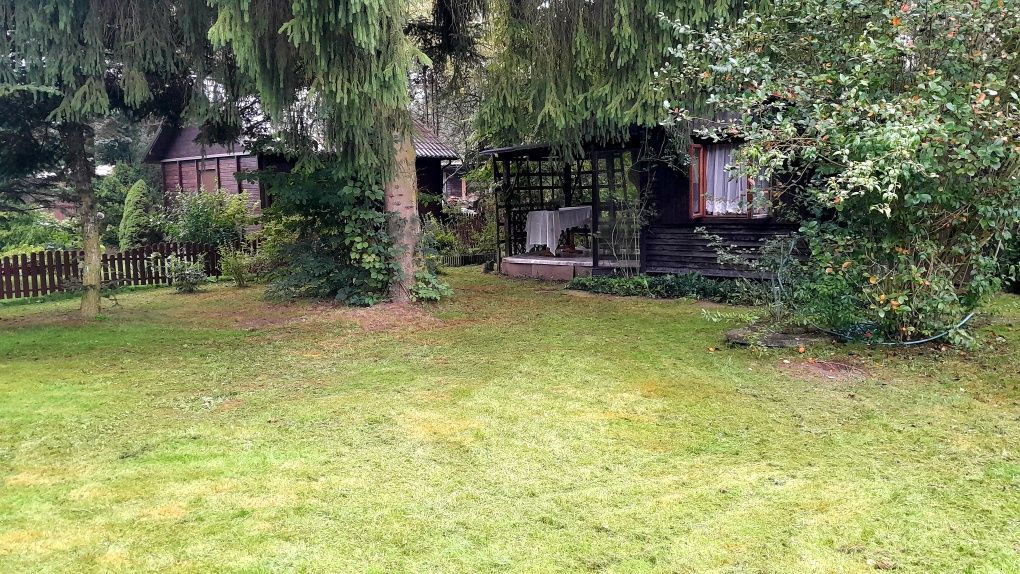 Działka rod Brzezie, ul. Działkowa