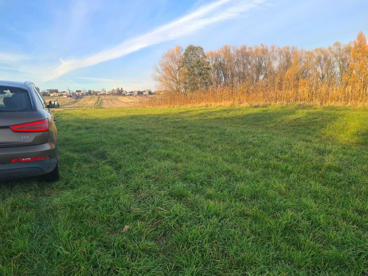 Działka rolna Pietrzykowice. Zdjęcie 3