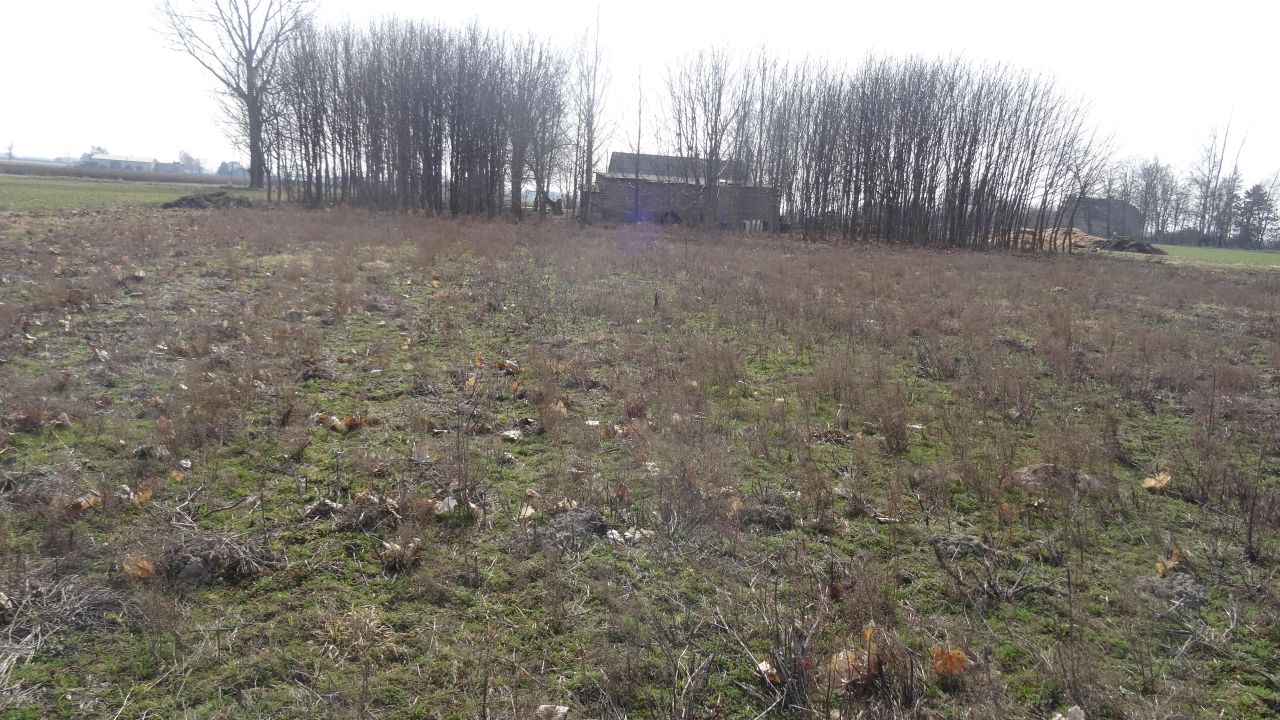 Działka budowlana Zduny Zduny-Parcele. Zdjęcie 2