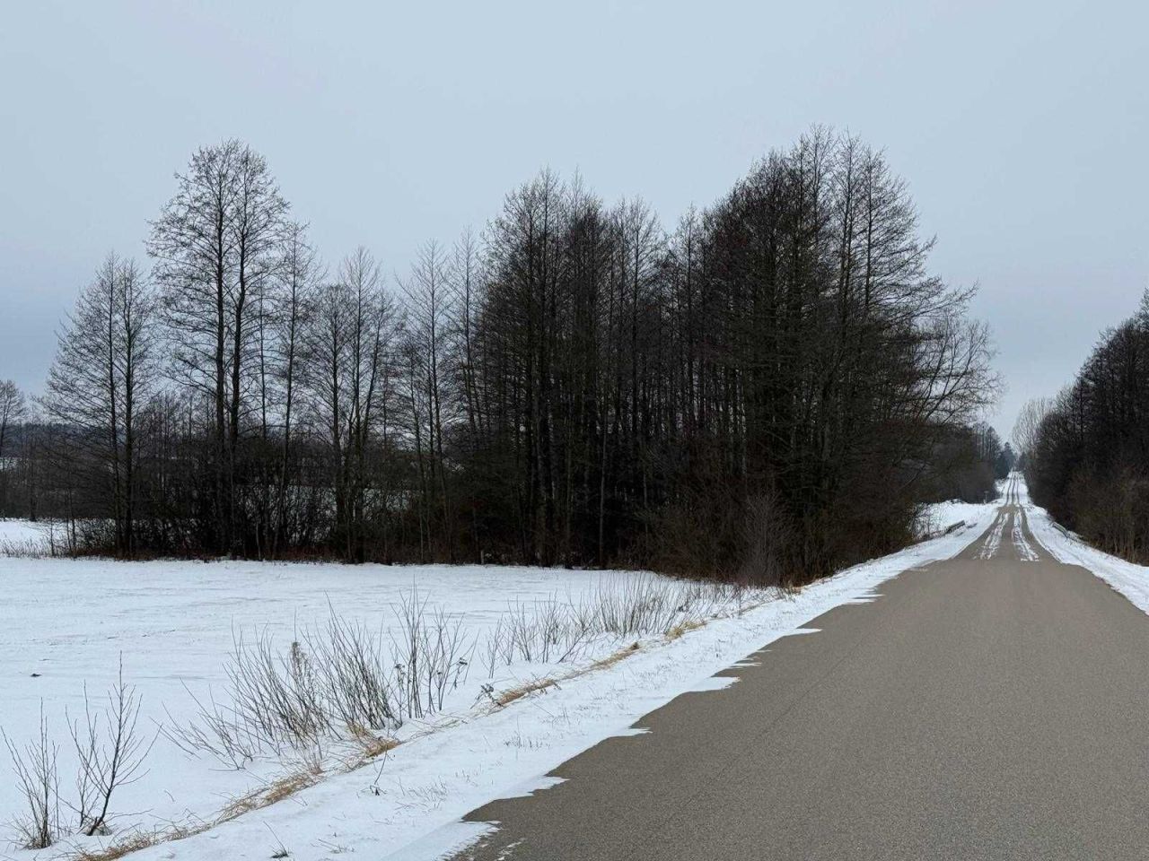 Działka rolna Brzozowo-Kolonia. Zdjęcie 3