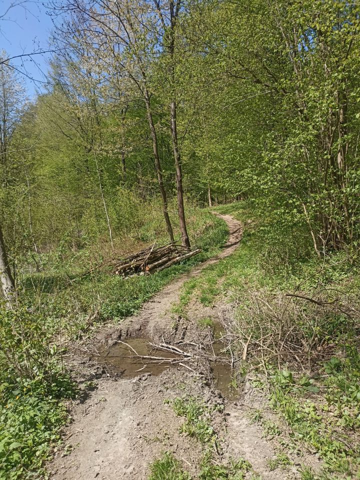 Działka leśna Karwodrza. Zdjęcie 7