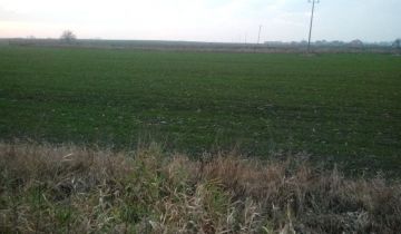 Działka rolno-budowlana Pniówek