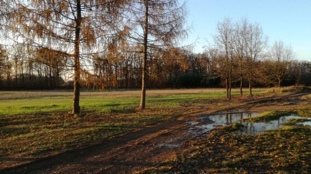 Działka rolno-budowlana Głębocko. Zdjęcie 1