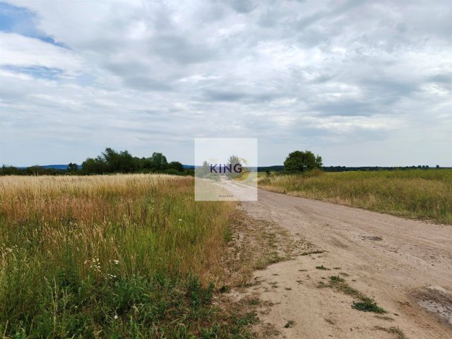 Działka rolna Karwowo. Zdjęcie 3