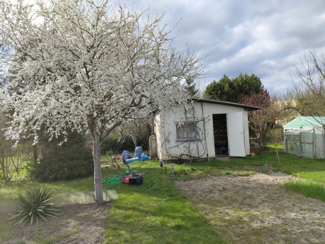 Działka rekreacyjna Trzcianka, ul. Polna. Zdjęcie 1
