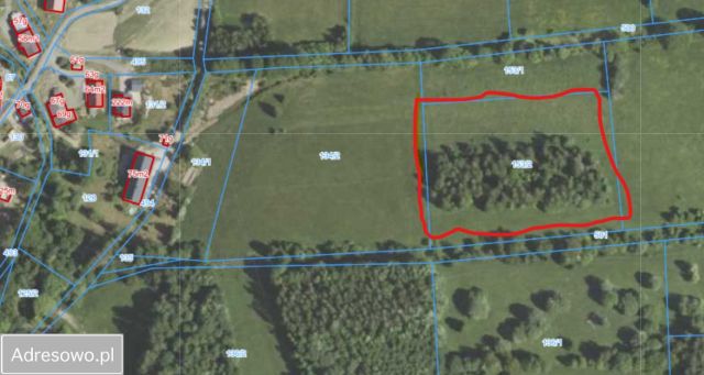 Działka rolna Przecznica. Zdjęcie 1